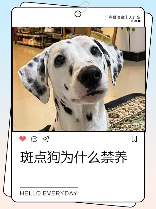 狗吃了洗衣液怎么办?有什么解决的方法