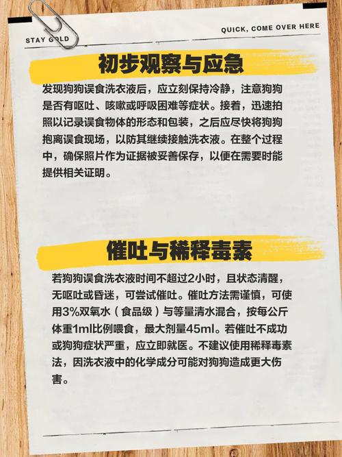 狗狗吃了洗衣液怎么办