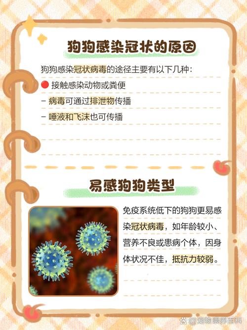 狗狗得了冠状病毒是怎么回事?