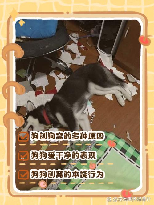 这几天狗狗总刨窝还哼唧是怎么回事