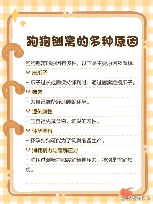 狗狗老刨窝是怎么回事