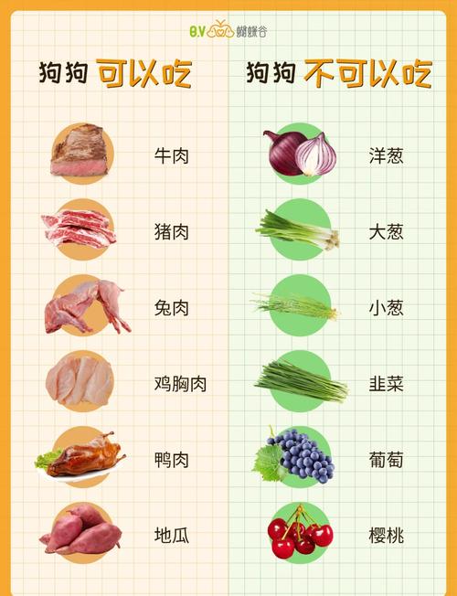 狗不能吃的10种水果
