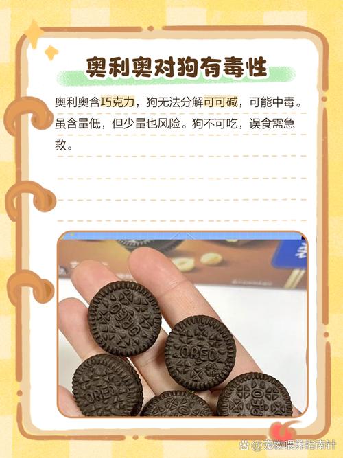 狗吃了粘满可可粉和奥利奥碎的面包怎么办啊?会不会死!急求!