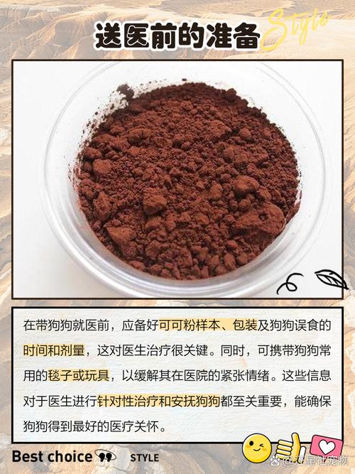 小狗吃了加可可粉的面包会死不?急啊!!!求解答··