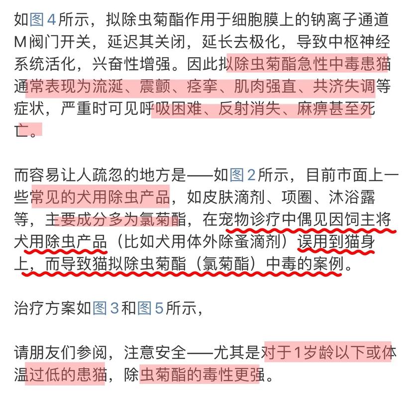 家里养的小狗可以点蚊香么?