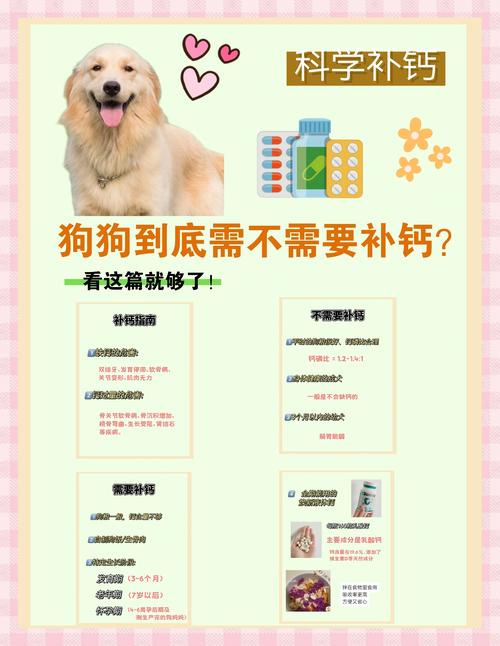 狗狗什么时候需要补钙?