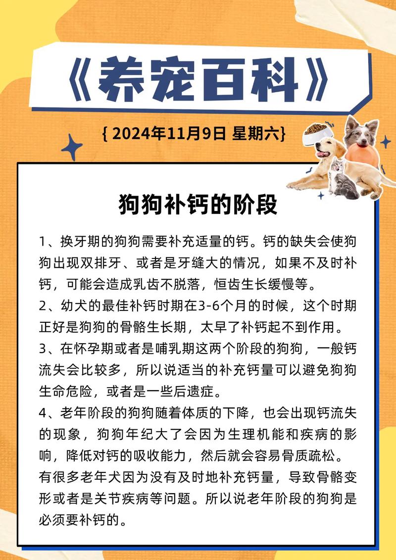狗狗怀孕多少天开始补钙