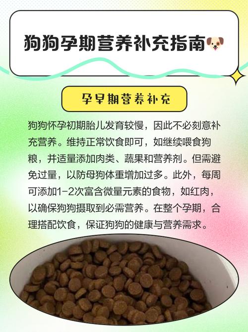 狗狗什么年龄段补钙比较好?怎么补?