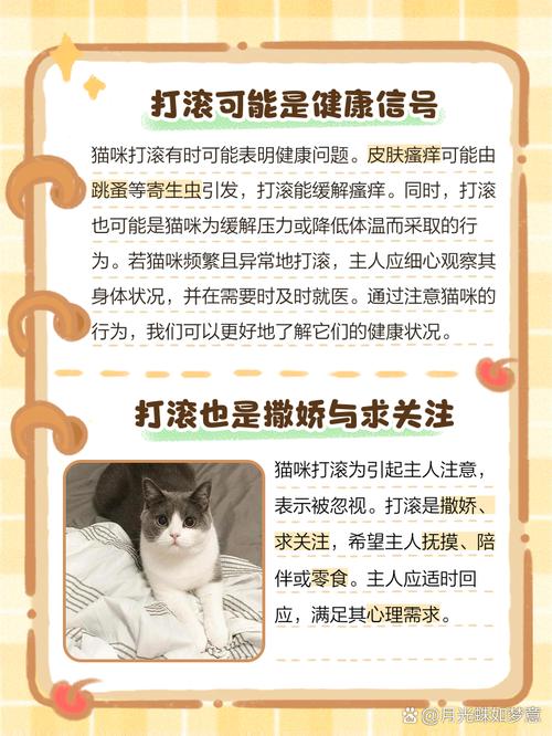 猫咪在地上打滚猫咪为什么打滚