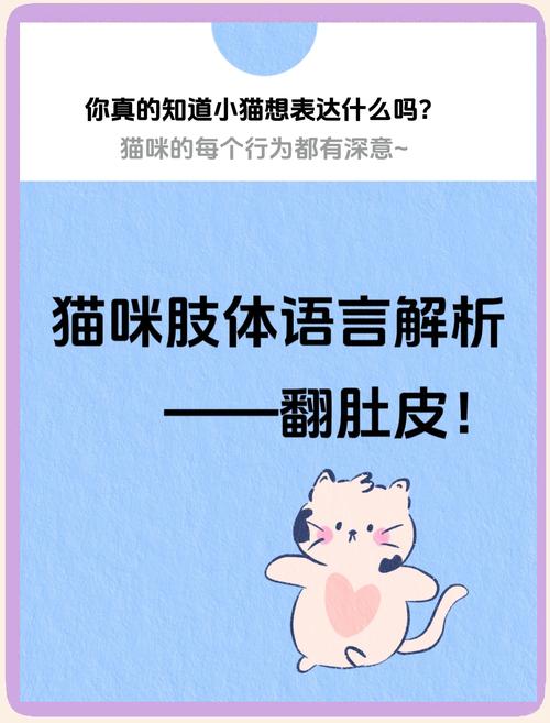 猫发情为什么要在地上打滚