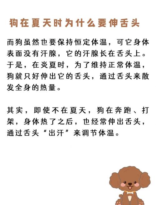 为什么狗狗总是吐舌头?如何处理这种情况