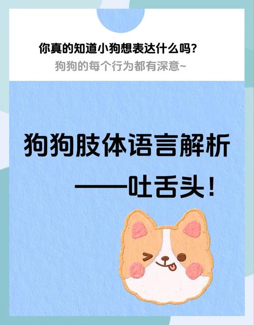 狗狗不热但是一直吐舌头是怎么回事