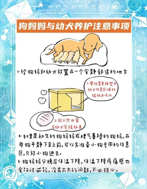 当狗狗要生小狗的时候要怎么帮忙接生