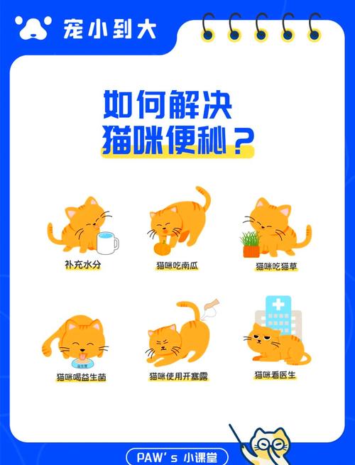 史上超全的解决猫咪便秘指南,8个妙招__