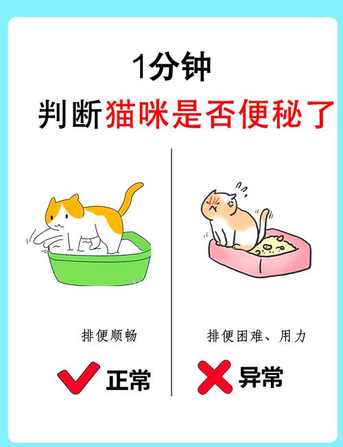 猫咪便秘了怎么办快速解决