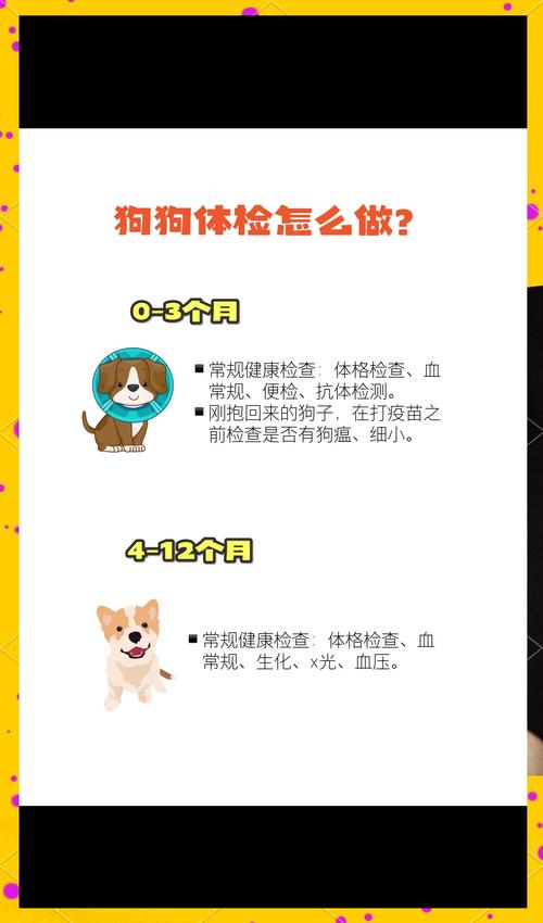 狗狗做一次血液抗体检查需要多少钱