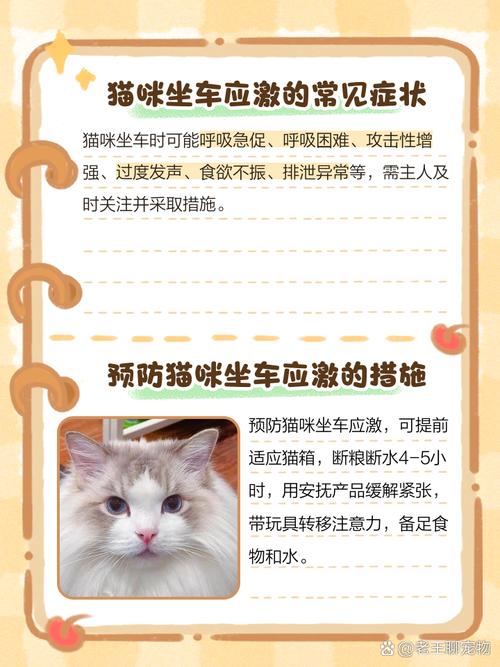 猫咪坐车张嘴哈气吐舌头