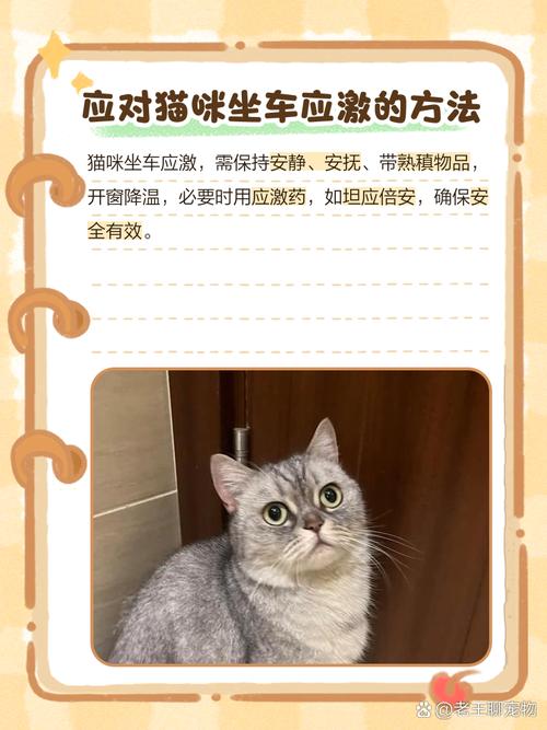 猫咪热的时候吐舌头呼吸急促怎么办