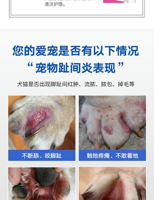 狗狗得了趾间炎用哪种药好得快