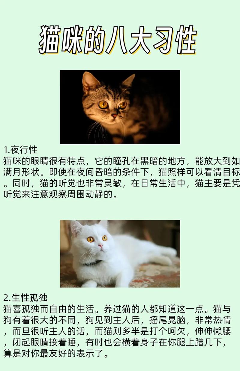猫的特点是什么