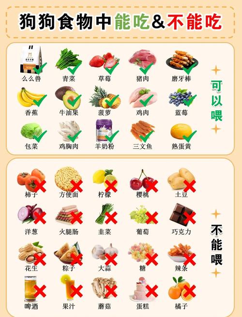 狗狗黑色素吃什么比较好