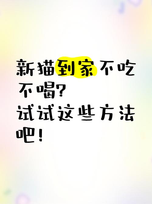家里养了一只新猫,十分怕生。来了一天,呆在床底下,不吃不喝不大...