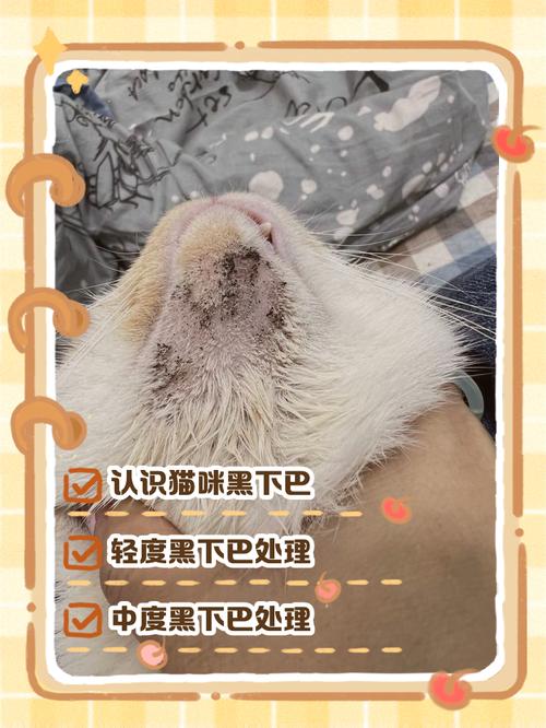 猫咪黑下巴能抠下来吗