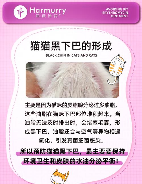 猫咪黑下巴用什么药膏