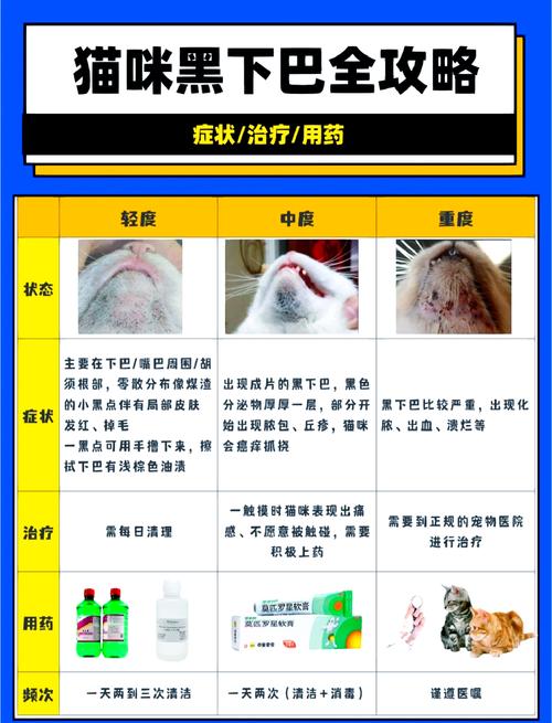 猫咪得了黑下巴怎么治疗?日常生活中该怎么预防?