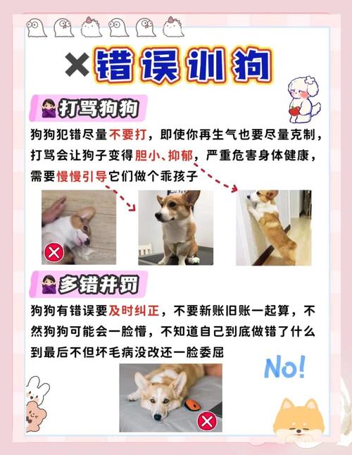 训练狗狗改掉打架恶习,狗狗听话、过来与跟上