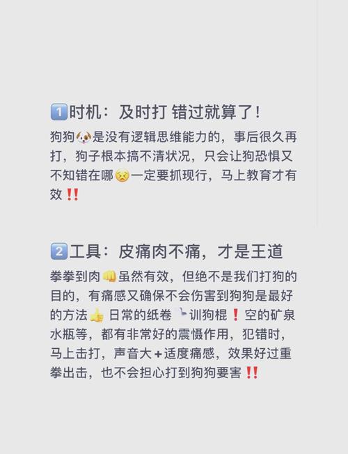 狗狗不听话怎么办?怎么样让狗狗服从指令?