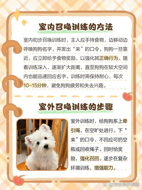 怎么让狗狗听话?