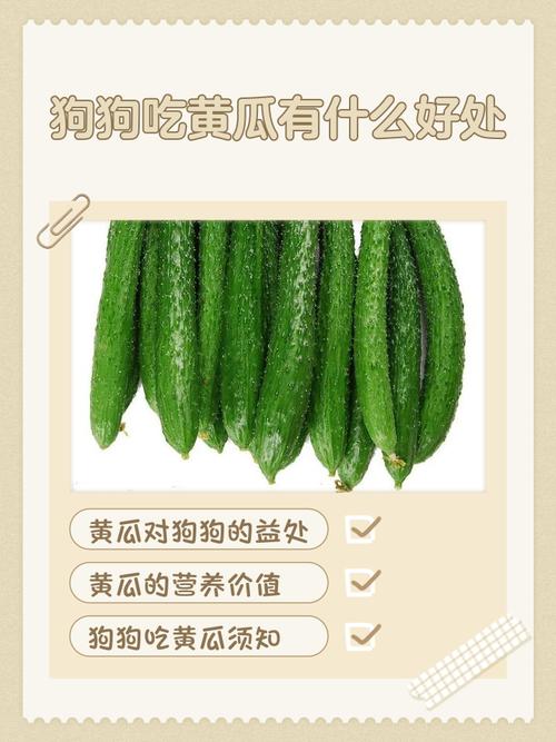 狗狗吃这些食物,可以缓解掉毛!