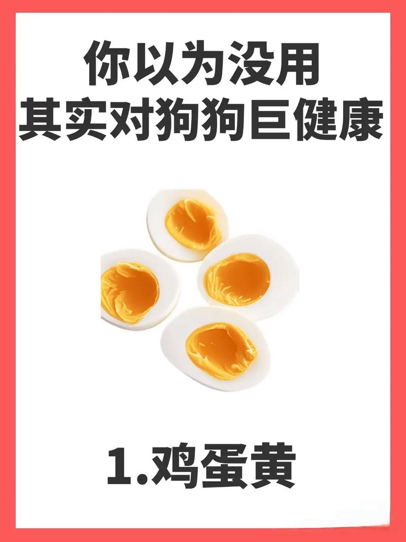 狗狗是吃鸡蛋黄的还是鸡蛋白的