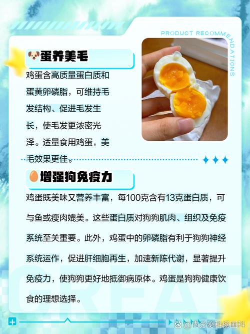 狗狗吃鸡蛋黄有什么好处
