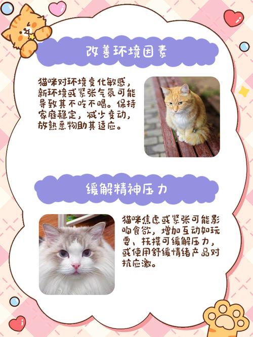 猫抑郁了会死吗