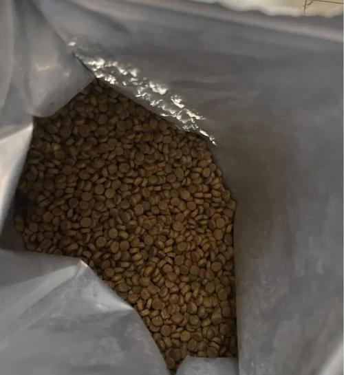 给猫咪吃什么猫粮好?