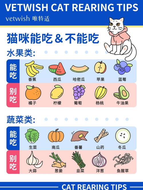 猫咪可以吃橘子吗?