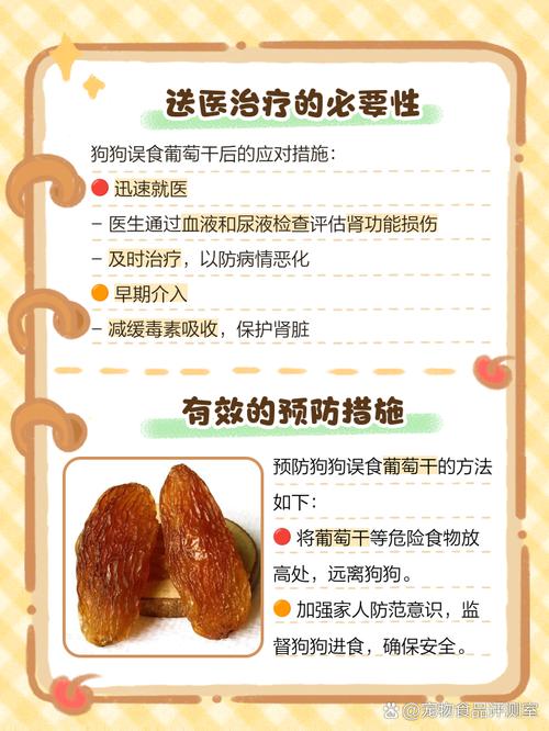 不小心给狗狗吃了葡萄干怎么办