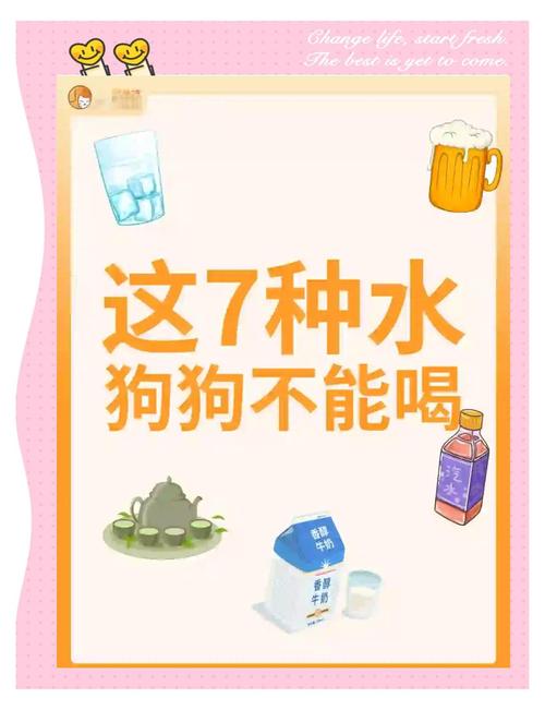 小狗狗在出生时喝了母狗的脏水怎么办?