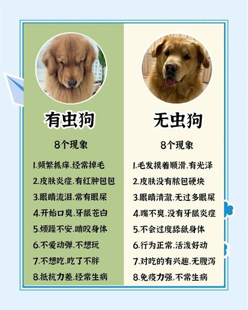 狗狗吃驱虫药要禁食吗