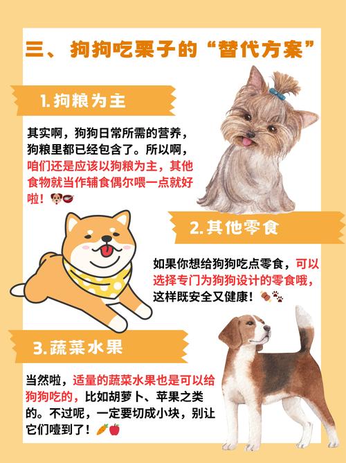 狗狗吃板栗的危害,狗狗吃栗子好不好