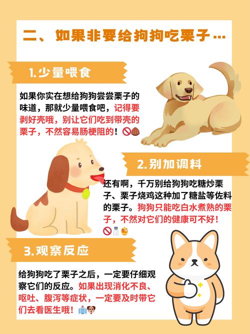 狗狗能吃栗子不