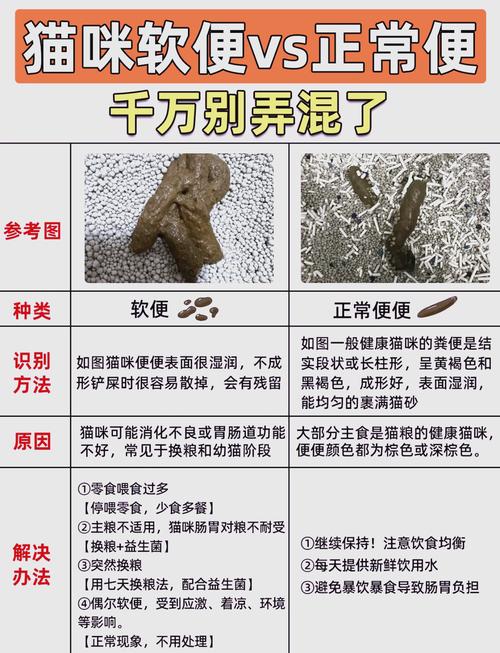 小猫软便与拉稀的区别