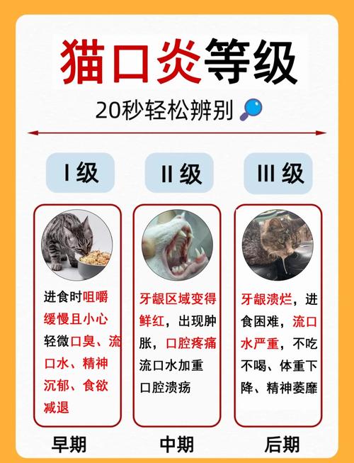 猫咪口炎全口拔牙要多少钱