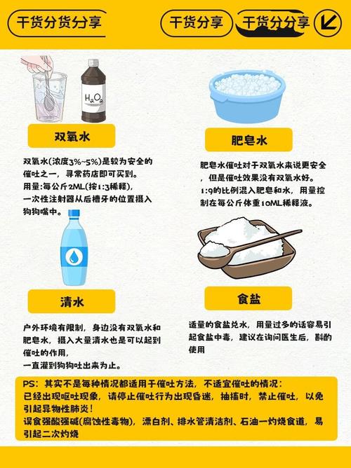 狗狗快速催吐的四种方法