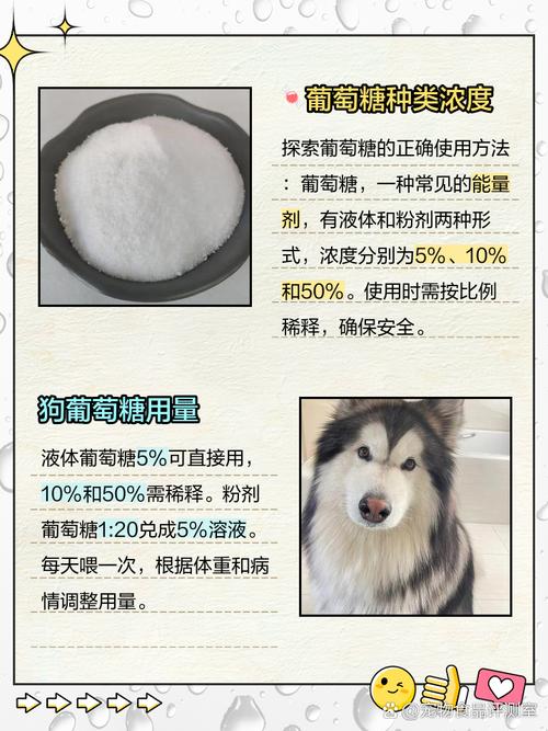 小狗能喝葡萄糖水吗