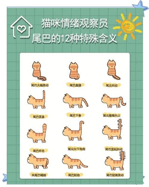 猫咪趴下摇尾巴是什么意思?