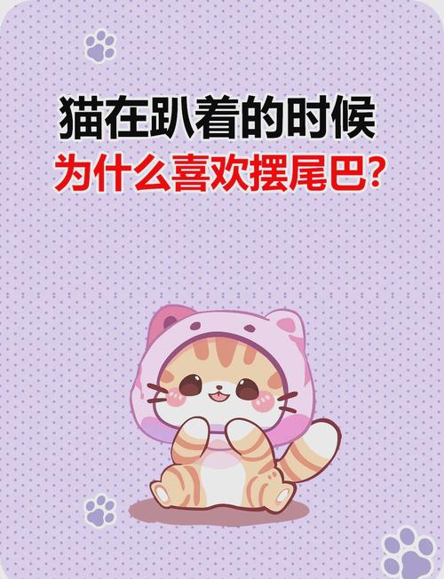 猫咪趴着摇尾巴是什么意思