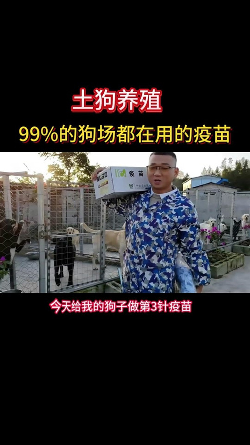 狗狗打针一般要多少钱啊?